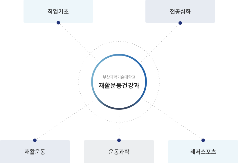 작업기초(의사소통능력, 대인관계능력, 창업과 취업), 공기업(전공실기, 현장실습), 재활운동(재활마사지, 테이핑요법 및 실습, 수중재활운동, 운동손상 및 재활, 소도구재활운동, 재활운동처방 및 실습, 치료레크레이션, 슬핑&필라테스), 운동과학(구급및 안전관리, 건강관리, 인체해부학, 운동생리학, 운동영양학, 특수체육론, 스포츠의학, 트레이닝 방법론, 건강 및 체력측정평가), 레저스포츠(운동과 건강, 요가, 피트니스트레이닝, 그룹운동, 뉴스포츠, 골프, 구기운동, 동계스포츠)